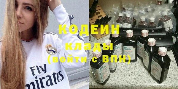 спиды Богородицк