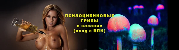 молекула духа Переславль-Залесский