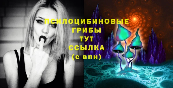 спиды Богородицк