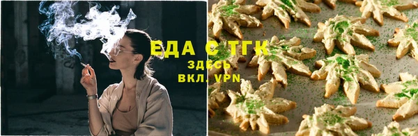 спиды Богородицк