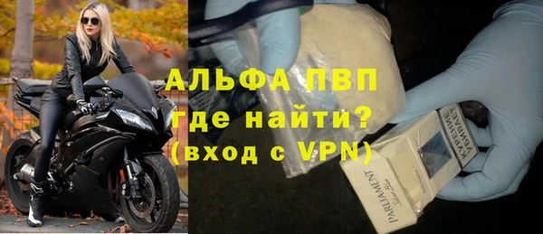 спиды Богородицк